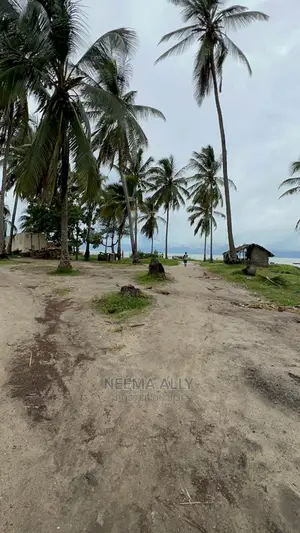 Mbutu Kichangani Karibu Na Bahari 