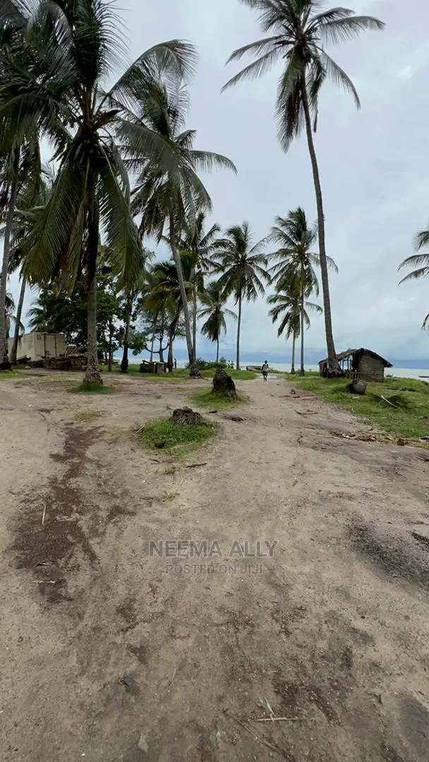Mbutu Kichangani Karibu Na Bahari 