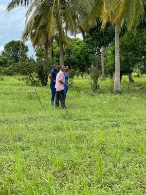 Mbutu Kichangani Karibu Na Bahari 