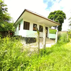 1bdrm Apartment in Kimara for Rent