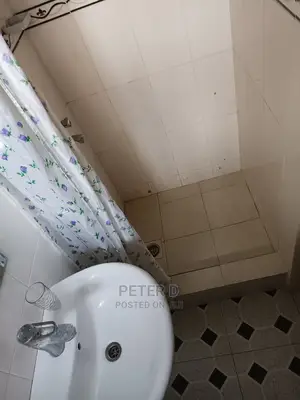 Furnished 1bdrm Apartment in Mikocheni for Rent