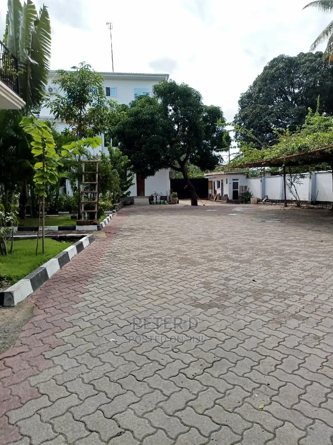 Furnished 1bdrm Apartment in Mikocheni for Rent