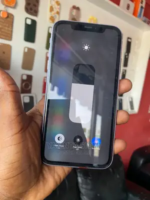 Apple iPhone 11 Pro Max 64 GB Gray