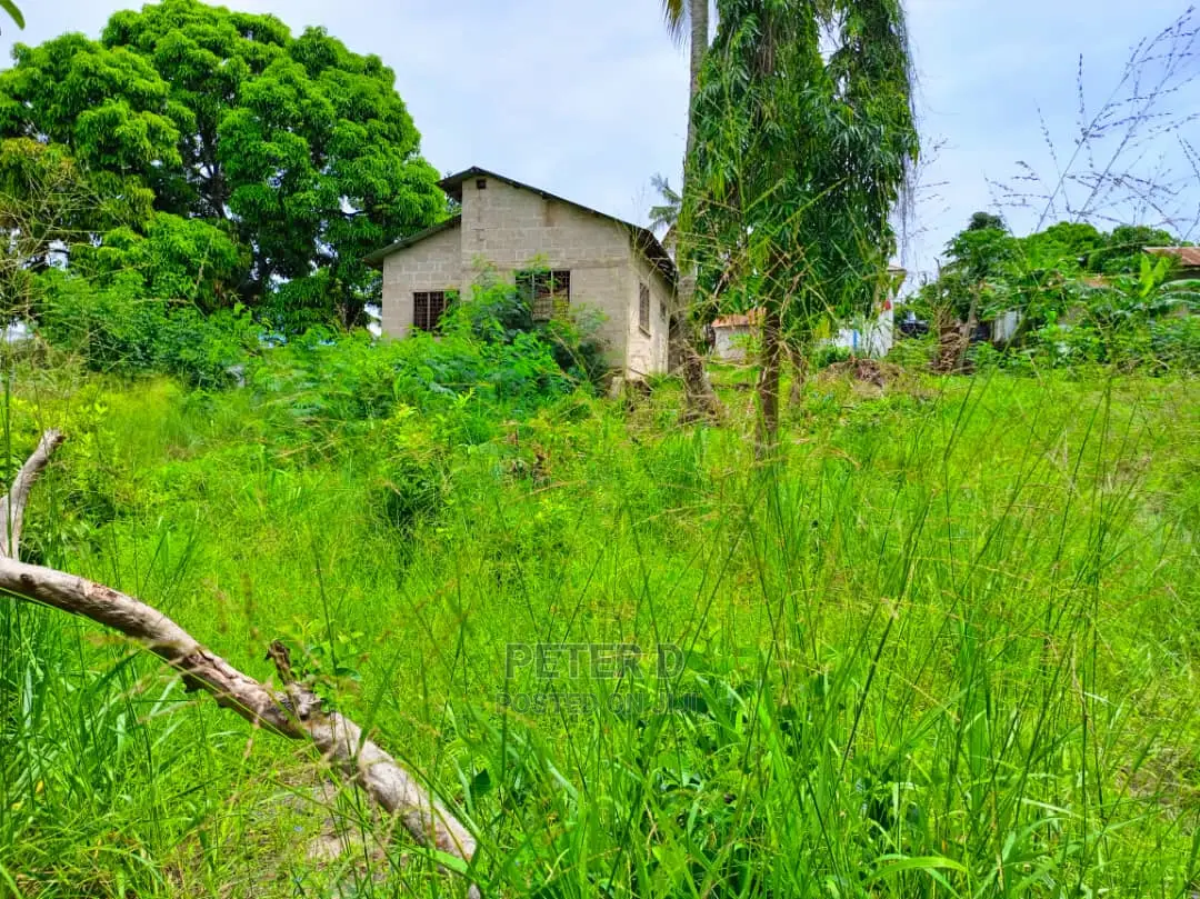 Kiwanja Barabarani