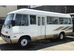 Isuzu Executive Bus 1991 White