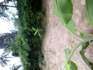 2bdrm House in Mark Real Estate, Kibaha for Sale