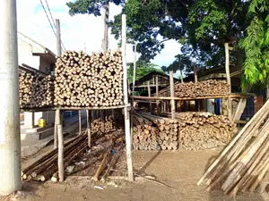 Tunauza Mirunda