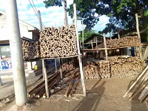 Tunauza Mirunda
