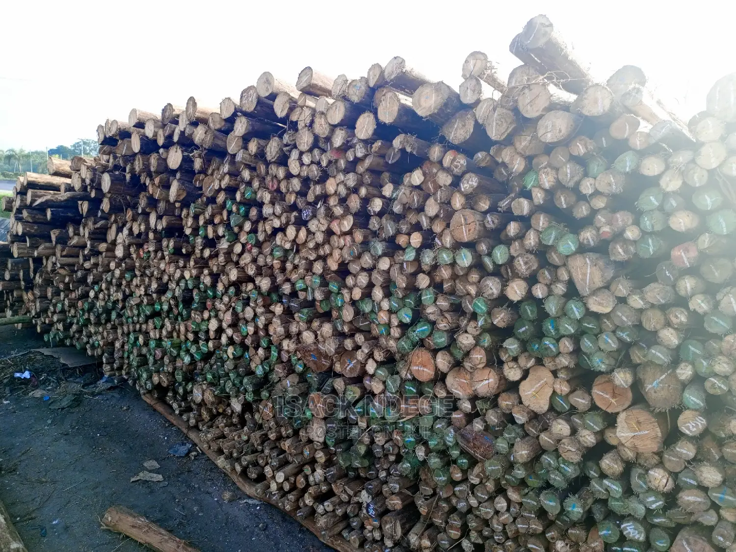 Tunauza Mirunda