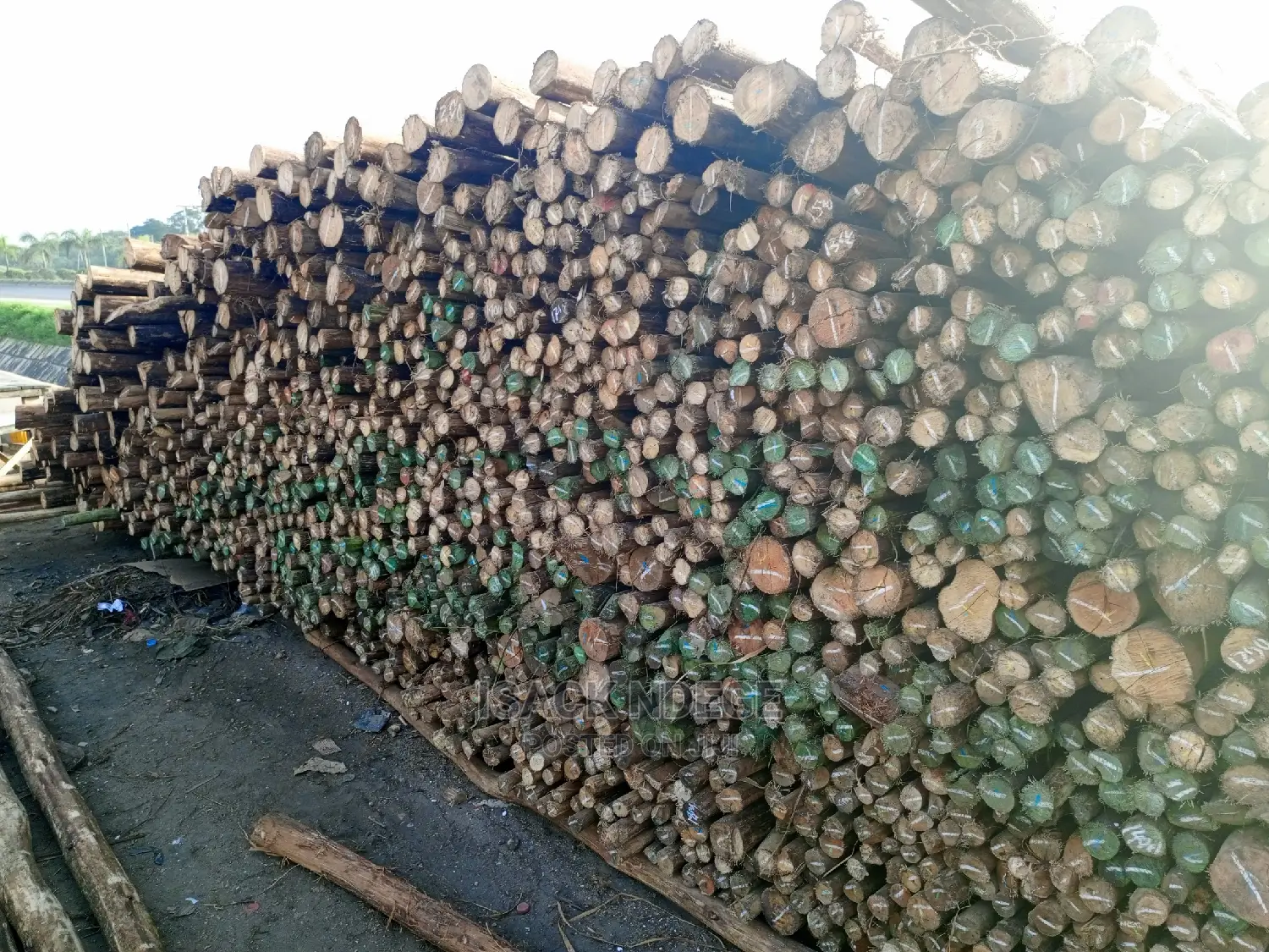 Tunauza Mirunda