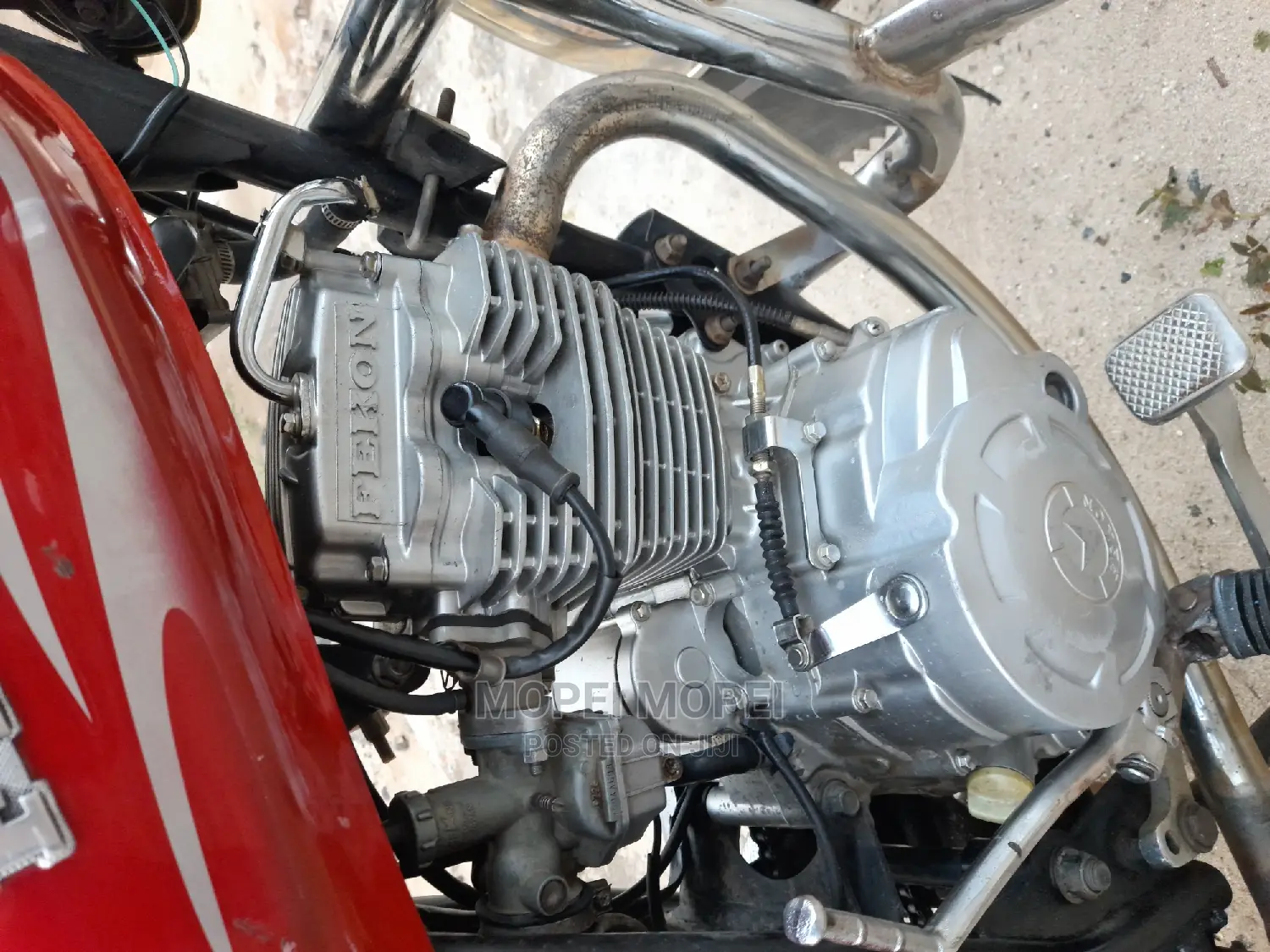 New Focin 2021 Red