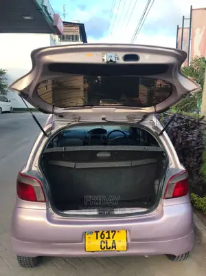 Toyota Vitz 1.0 FWD 5dr 2002 Pink