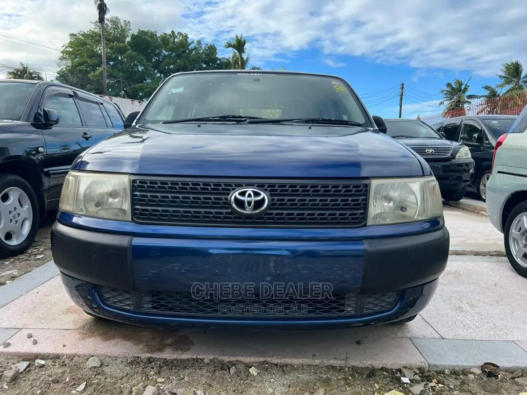 Toyota Probox 1.5 DX 2WD 2004 Blue