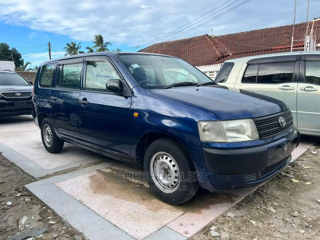 Toyota Probox 1.5 DX 2WD 2004 Blue