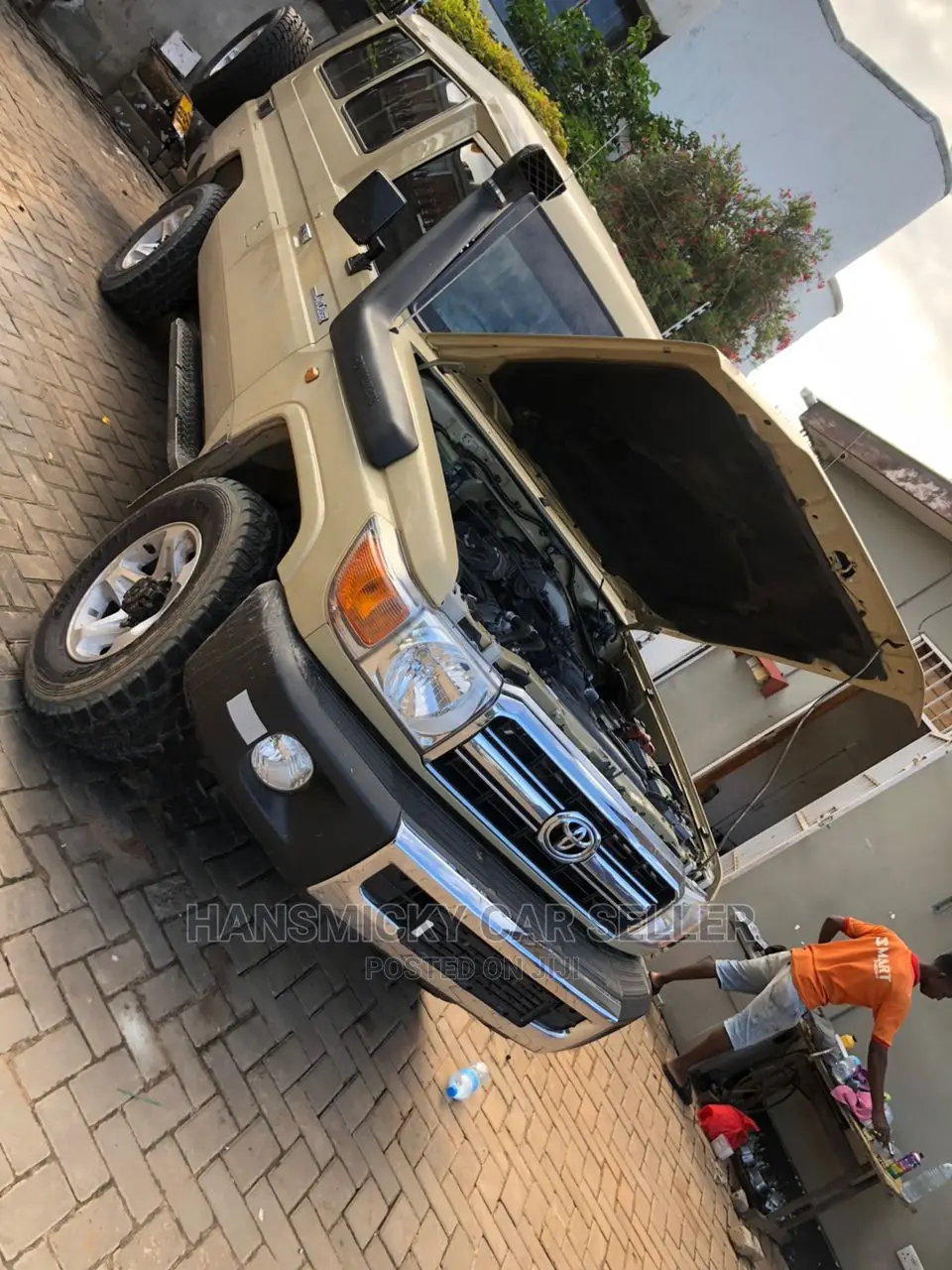 Toyota Land Cruiser 2010 Beige