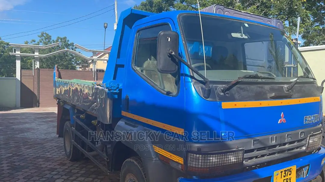 Mitsubishi Fuso 2009 Blue