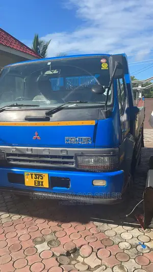 Mitsubishi Fuso 2009 Blue