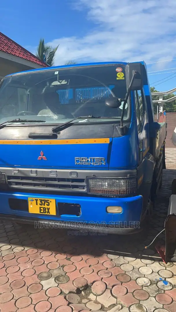 Mitsubishi Fuso 2009 Blue