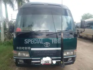 Toyota Coaster 2002 Beige