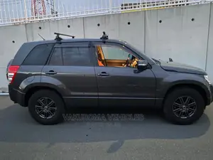Suzuki Escudo 2011 Gray