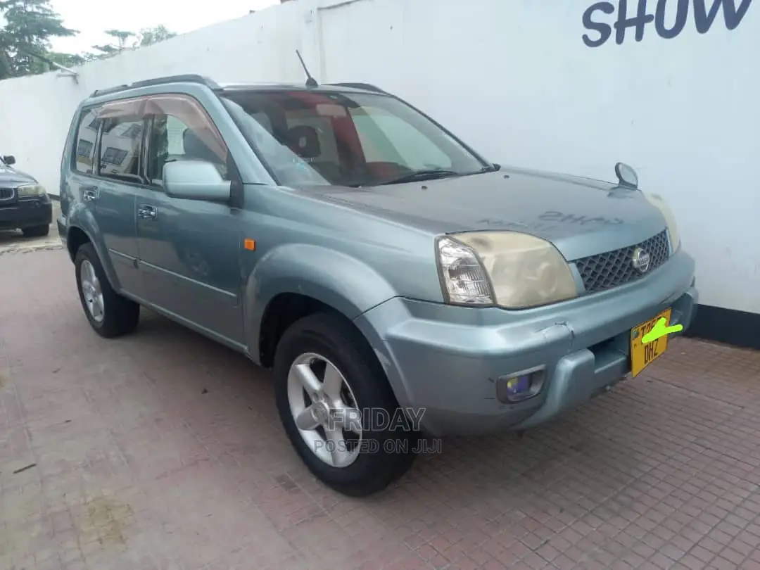Nissan X-Trail 2.0 2005 Gray