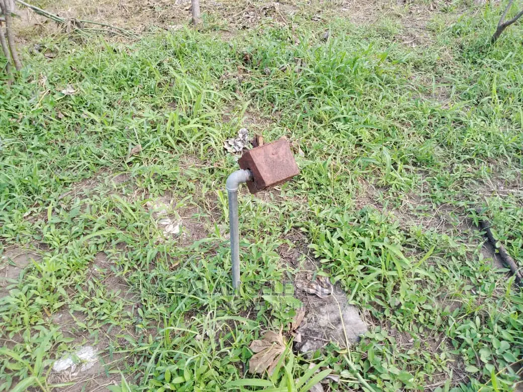 Plot Inatizama Lami at Bunju B