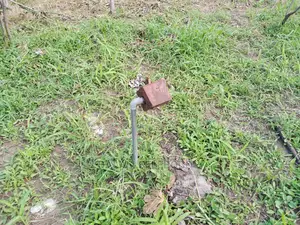Plot Inatizama Lami at Bunju B