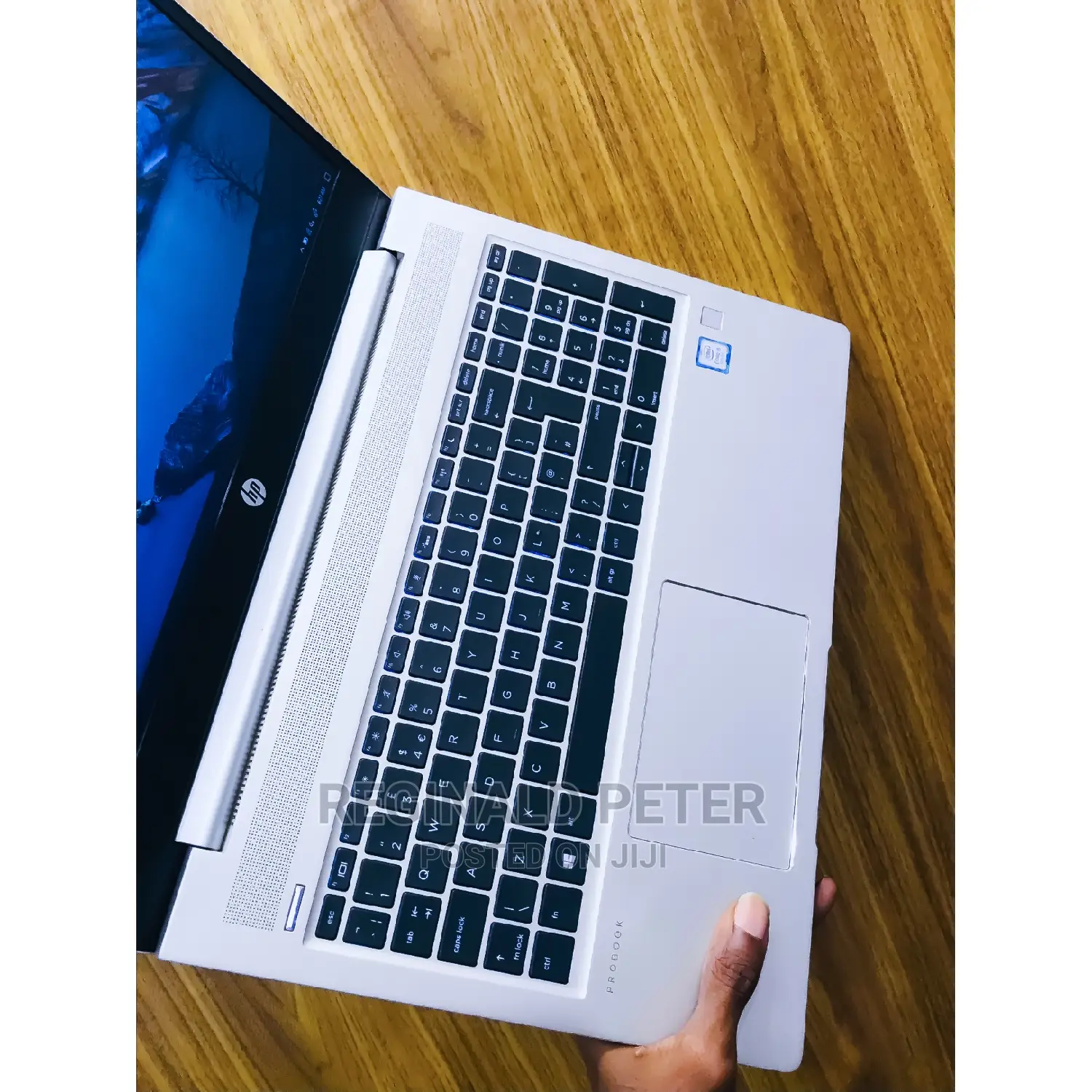 Laptop HP ProBook 450 G6 8GB Intel Core I5 SSD 256GB
