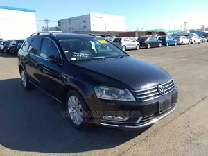Volkswagen Passat 2011 Blue