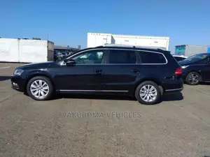 Volkswagen Passat 2011 Blue