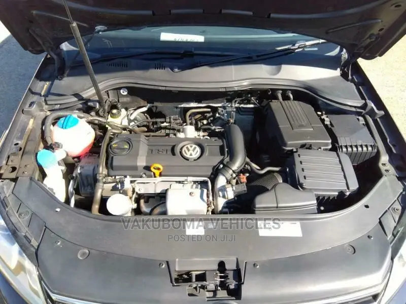 Volkswagen Passat 2011 Blue