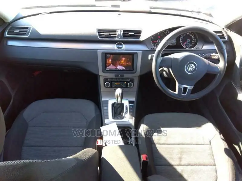 Volkswagen Passat 2011 Blue
