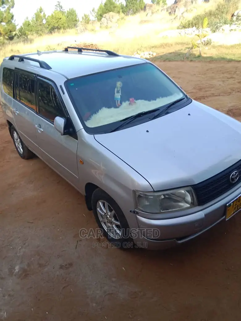 Toyota Probox 1.3 DX Comfort 2WD 2004 Silver