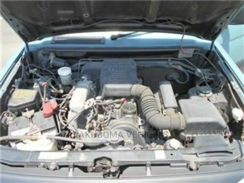 Mitsubishi Pajero 1996 Blue