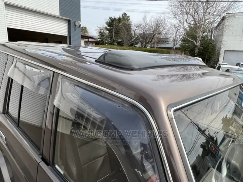 Toyota Land Cruiser Prado 1991 Brown