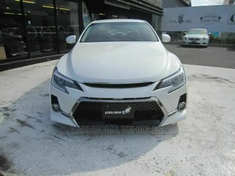Toyota Mark X 2010 Pearl