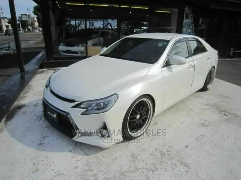 Toyota Mark X 2010 Pearl