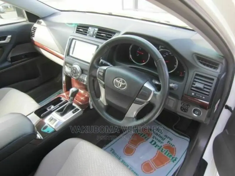 Toyota Mark X 2010 Pearl
