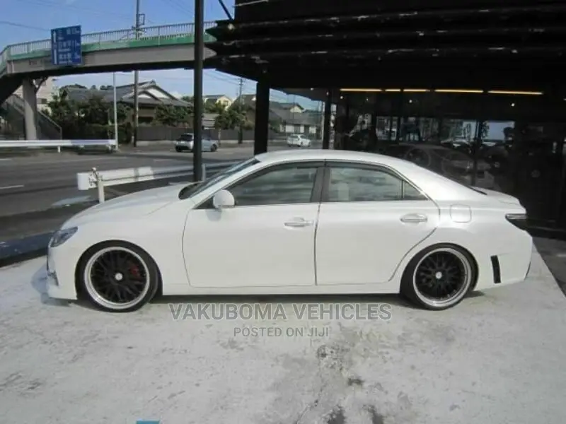 Toyota Mark X 2010 Pearl