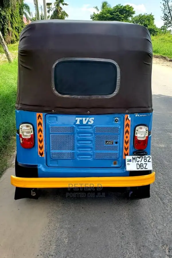 TVS Zeppelin 220 2023 Gray