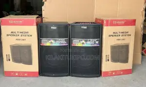 Professional Twin Speaker