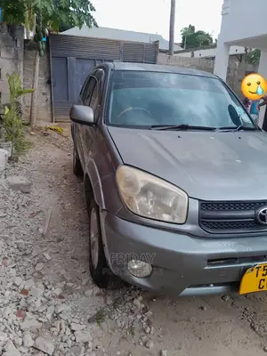 Toyota RAV4 2005 Gray