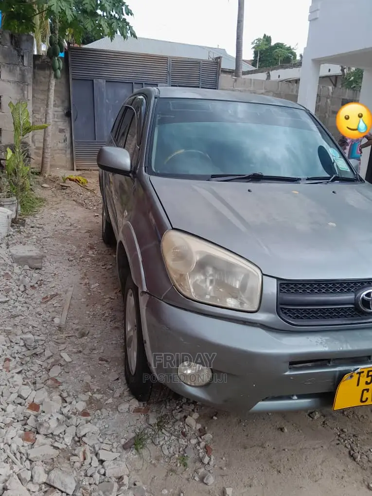 Toyota RAV4 2005 Gray