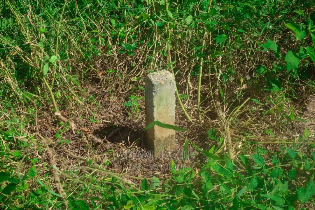 Shamba Lenye Hati La Ekari 6 Linauzwa Mkuranga