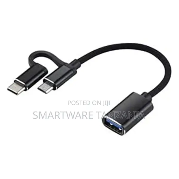 Two in One Otg Usb3.1 Type-C and Micro Connection