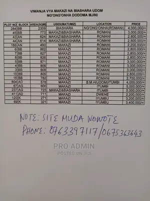 Project Ya Viwanja 20