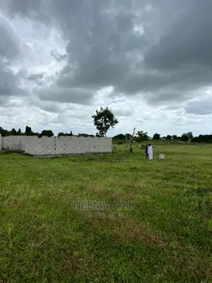 McHikichini Shirikisho