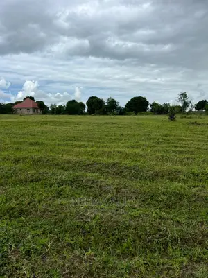 McHikichini Shirikisho