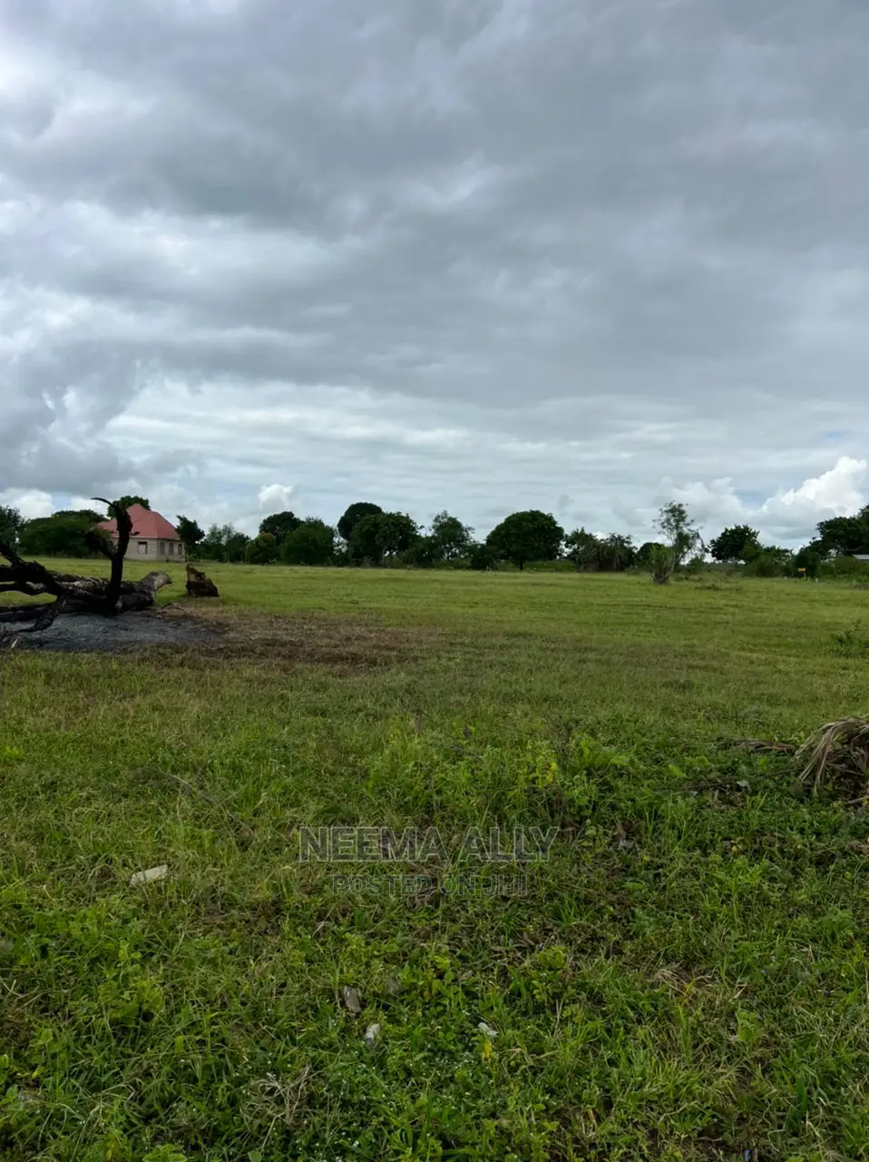 Viwanja Vya Kujenga Na Kuhamia