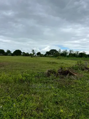 Viwanja Vya Kujenga Na Kuhamia